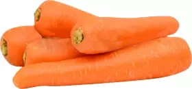 Carrot